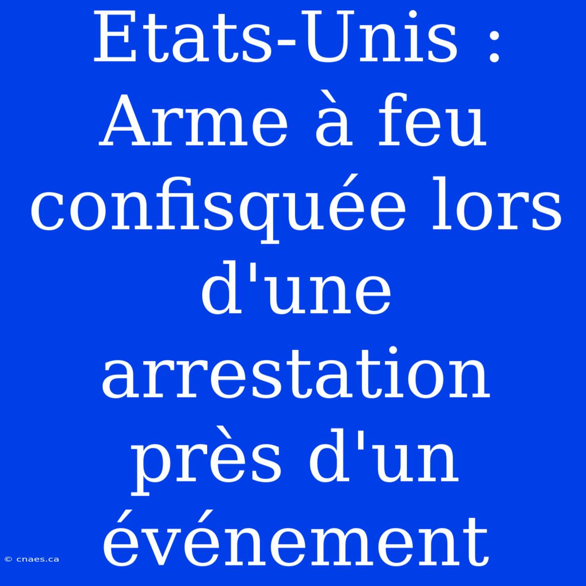 Etats-Unis : Arme À Feu Confisquée Lors D'une Arrestation Près D'un Événement