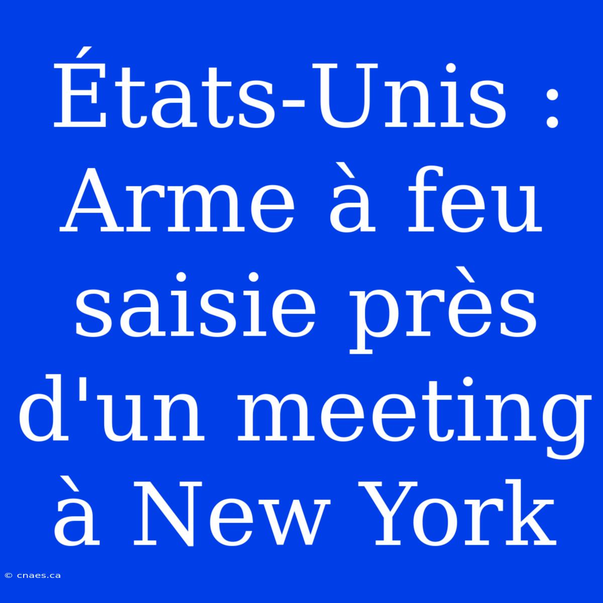 États-Unis : Arme À Feu Saisie Près D'un Meeting À New York