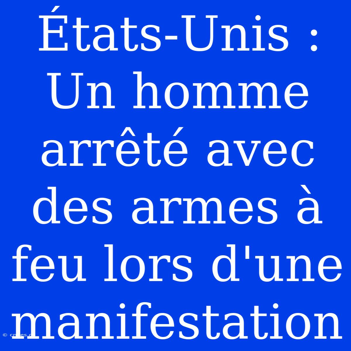 États-Unis : Un Homme Arrêté Avec Des Armes À Feu Lors D'une Manifestation