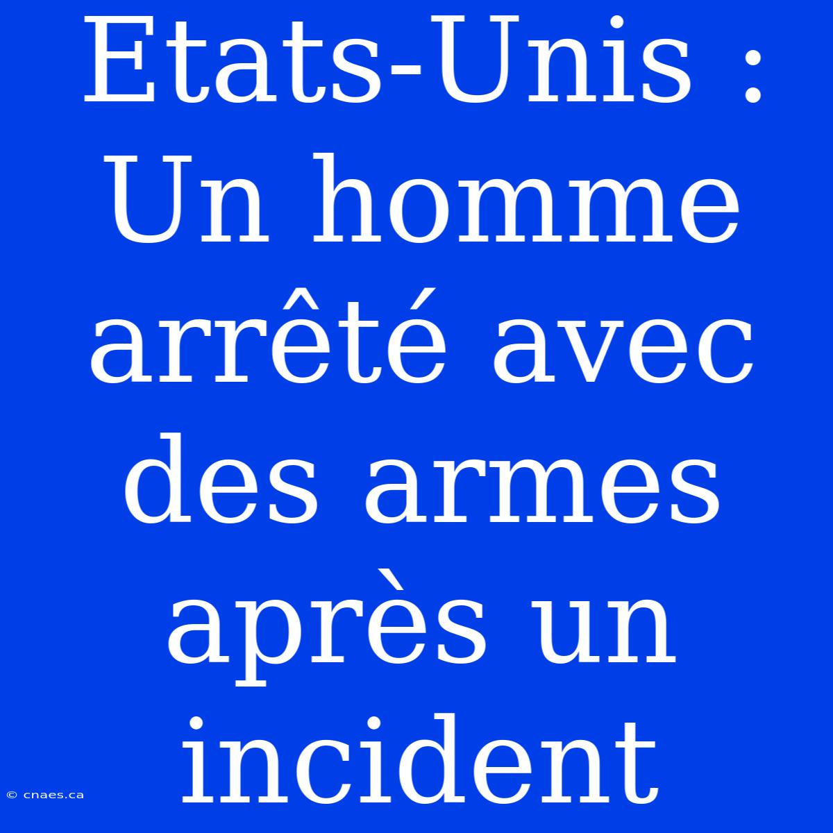 Etats-Unis : Un Homme Arrêté Avec Des Armes Après Un Incident