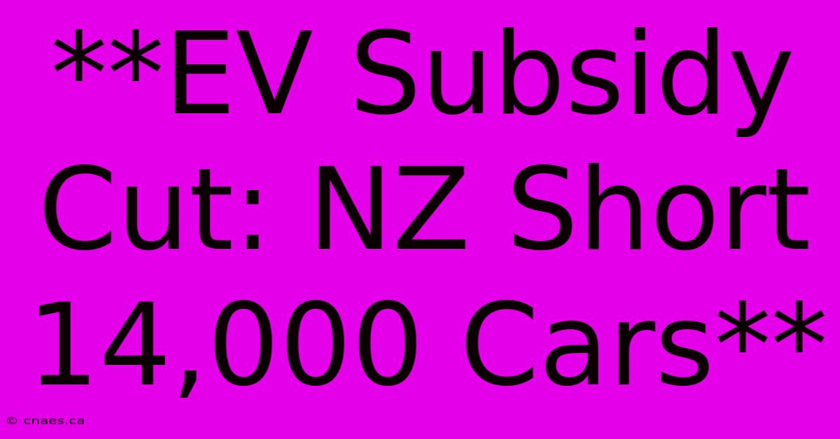 **EV Subsidy Cut: NZ Short 14,000 Cars**