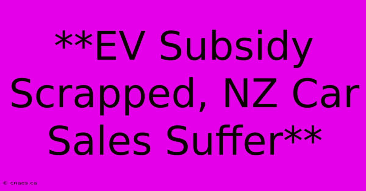 **EV Subsidy Scrapped, NZ Car Sales Suffer**