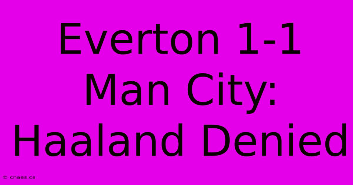 Everton 1-1 Man City: Haaland Denied