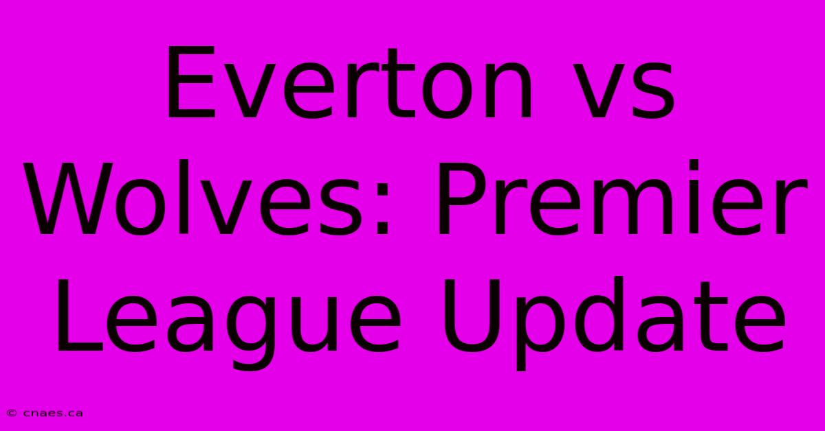 Everton Vs Wolves: Premier League Update