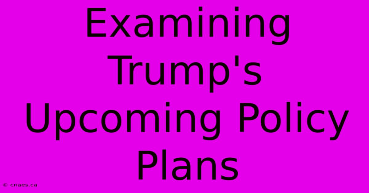 Examining Trump's Upcoming Policy Plans