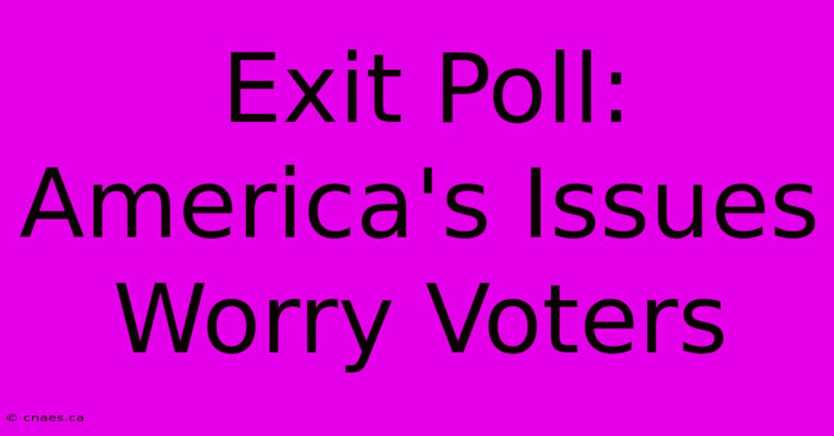 Exit Poll: America's Issues Worry Voters 