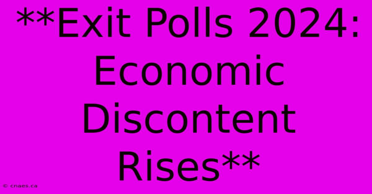 **Exit Polls 2024: Economic Discontent Rises**