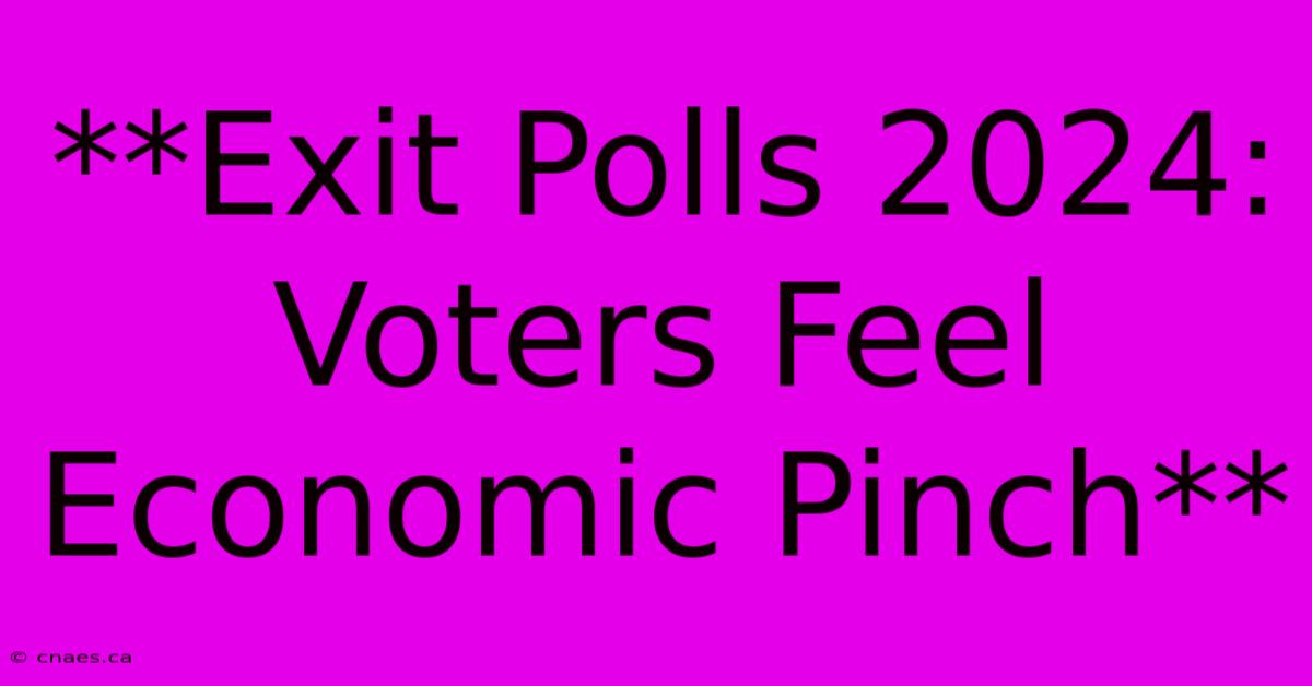 **Exit Polls 2024: Voters Feel Economic Pinch**