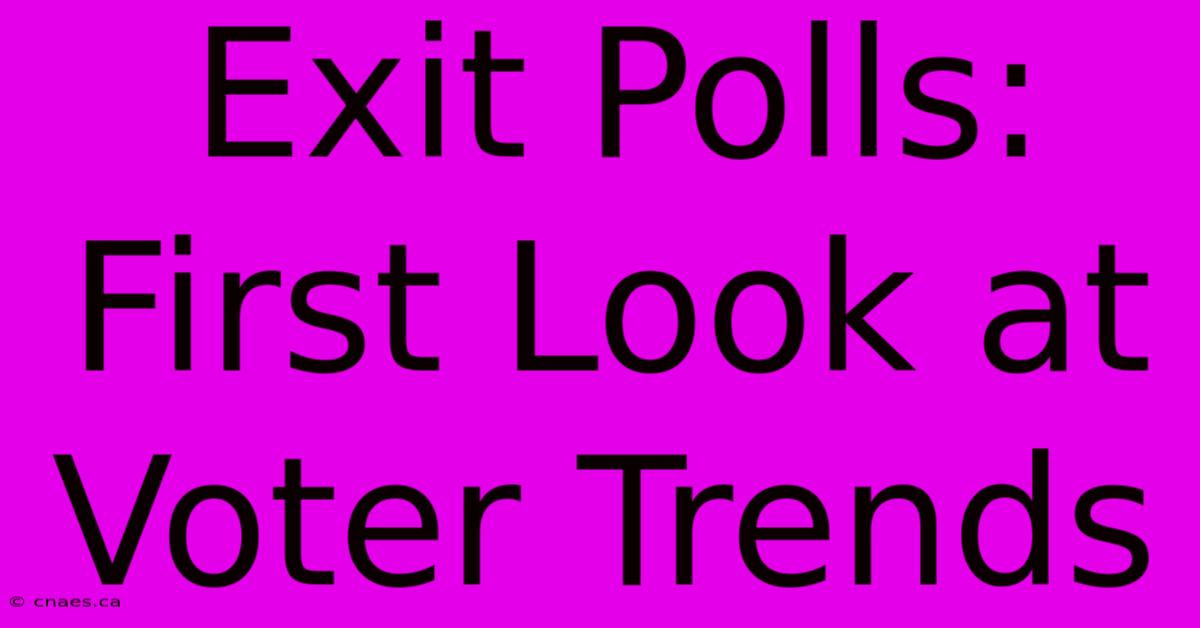 Exit Polls: First Look At Voter Trends