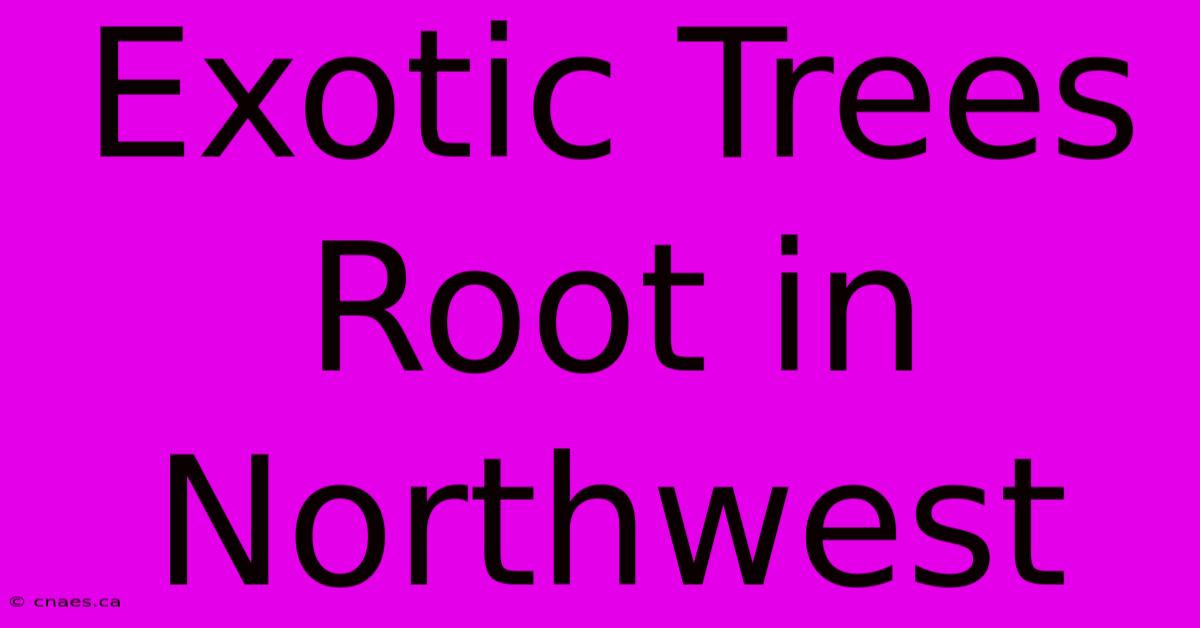 Exotic Trees Root In Northwest