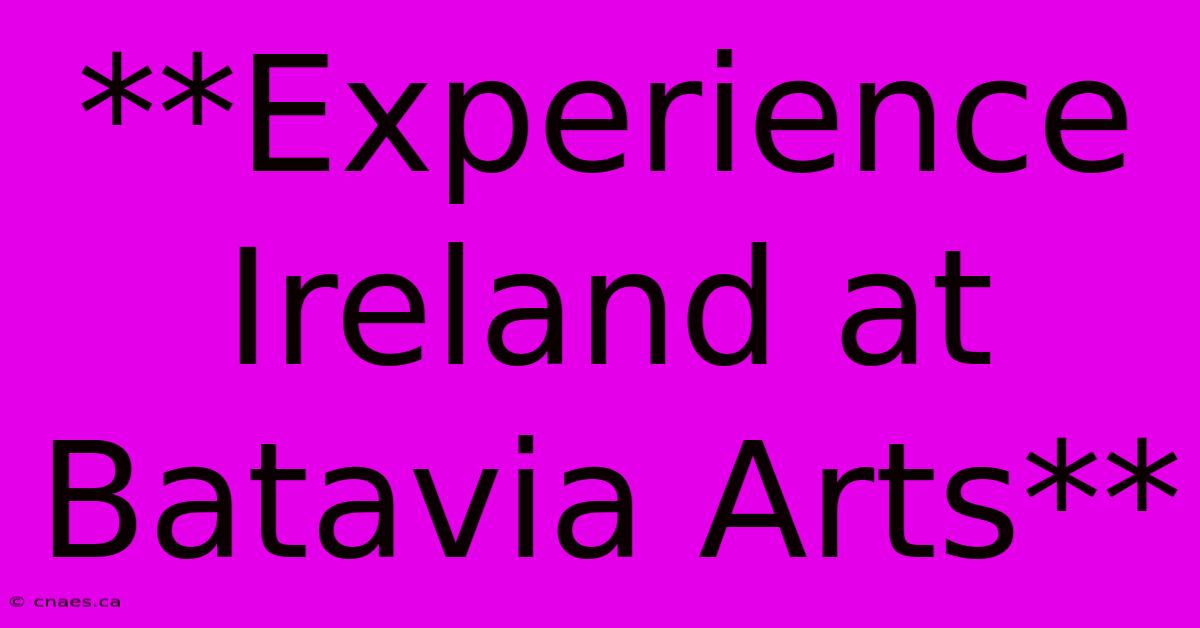 **Experience Ireland At Batavia Arts** 