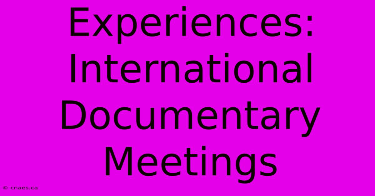 Experiences: International Documentary Meetings