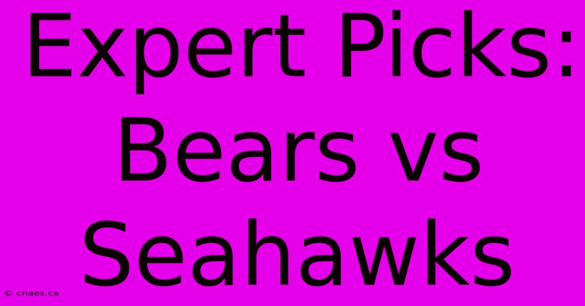 Expert Picks: Bears Vs Seahawks