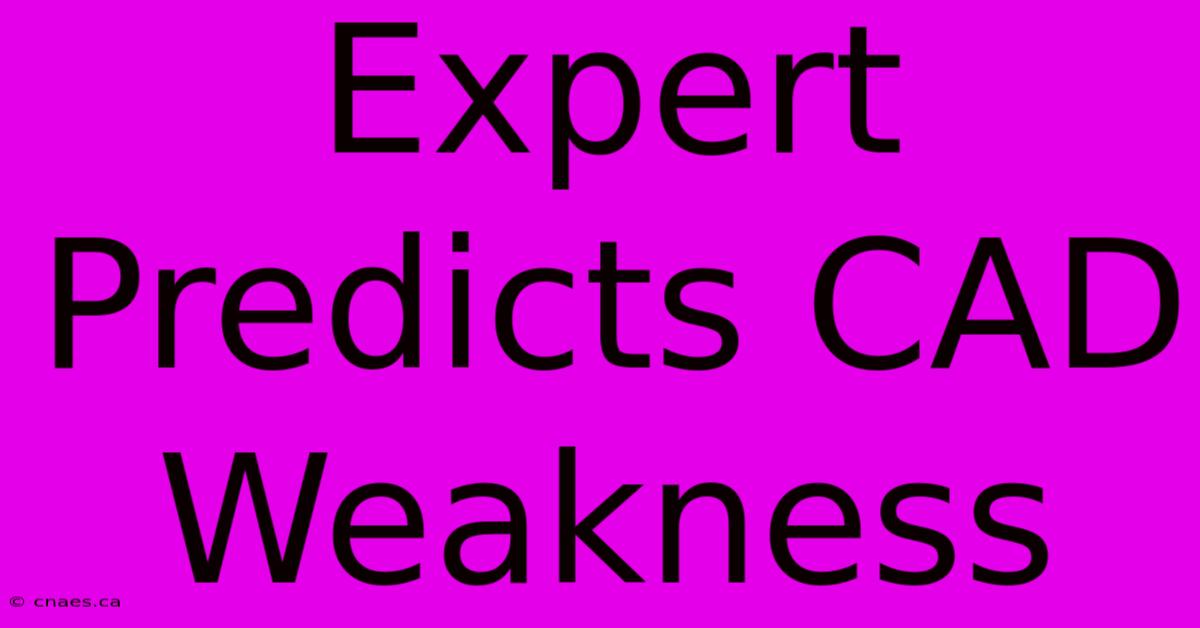 Expert Predicts CAD Weakness