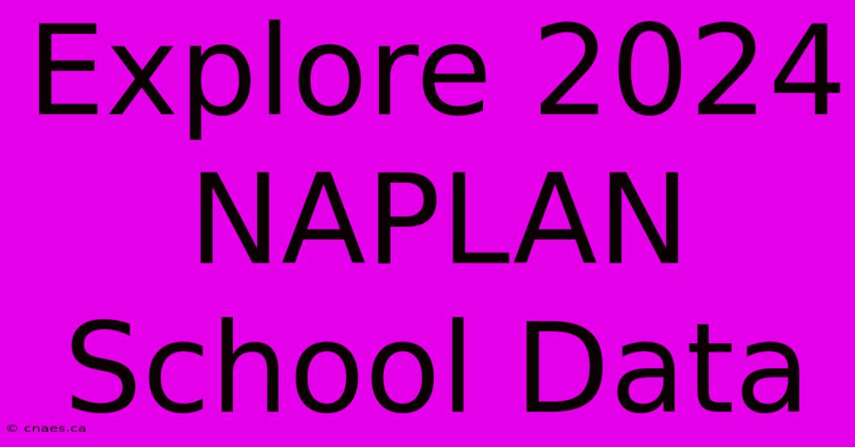 Explore 2024 NAPLAN School Data