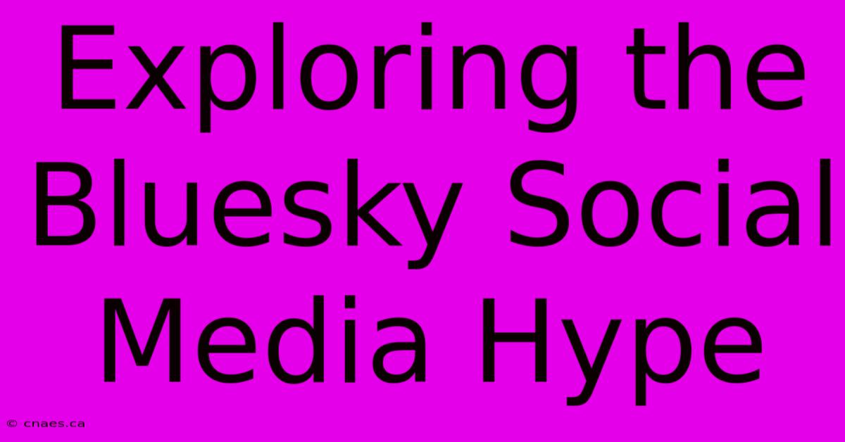 Exploring The Bluesky Social Media Hype