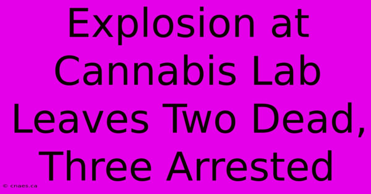 Explosion At Cannabis Lab Leaves Two Dead, Three Arrested