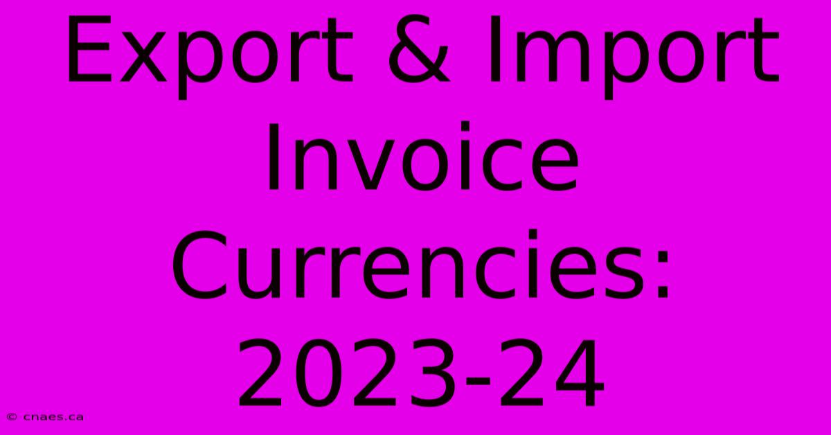 Export & Import Invoice Currencies: 2023-24 