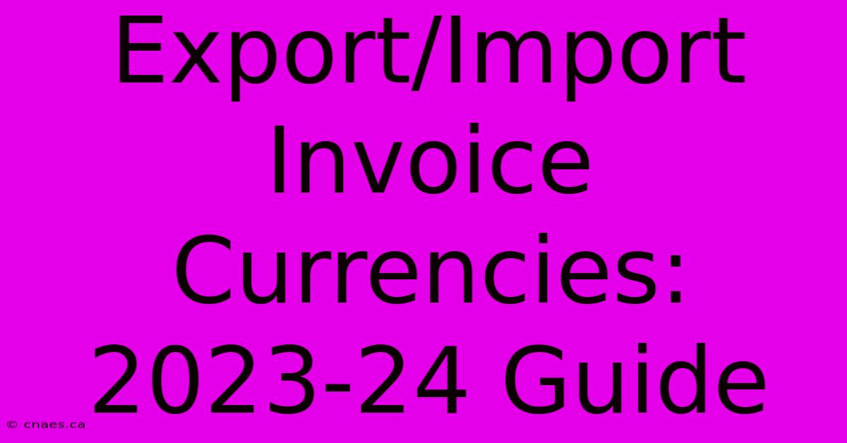 Export/Import Invoice Currencies: 2023-24 Guide