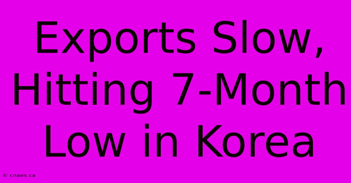 Exports Slow, Hitting 7-Month Low In Korea