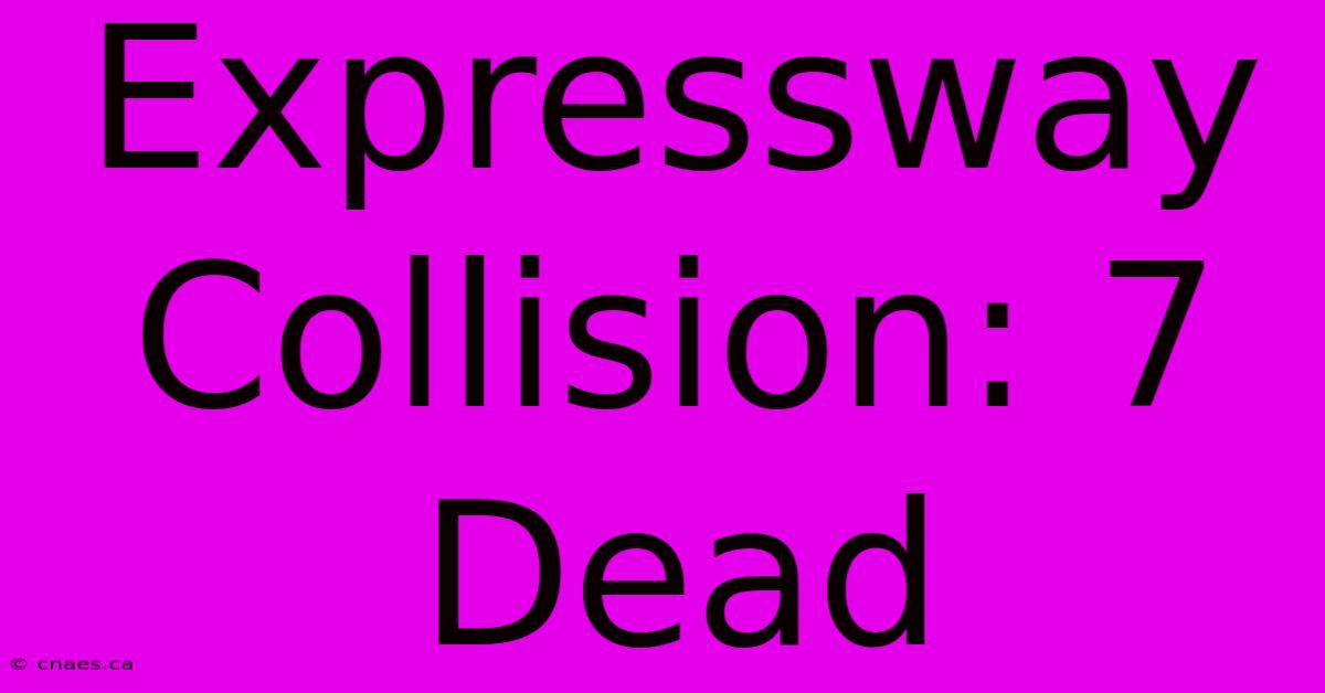 Expressway Collision: 7 Dead