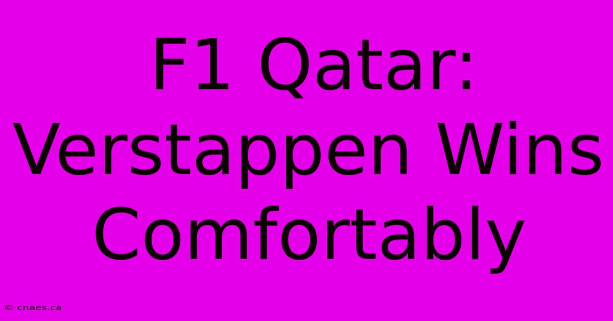 F1 Qatar: Verstappen Wins Comfortably