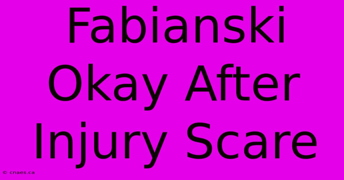 Fabianski Okay After Injury Scare