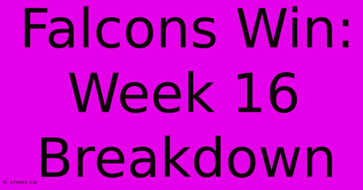 Falcons Win: Week 16 Breakdown