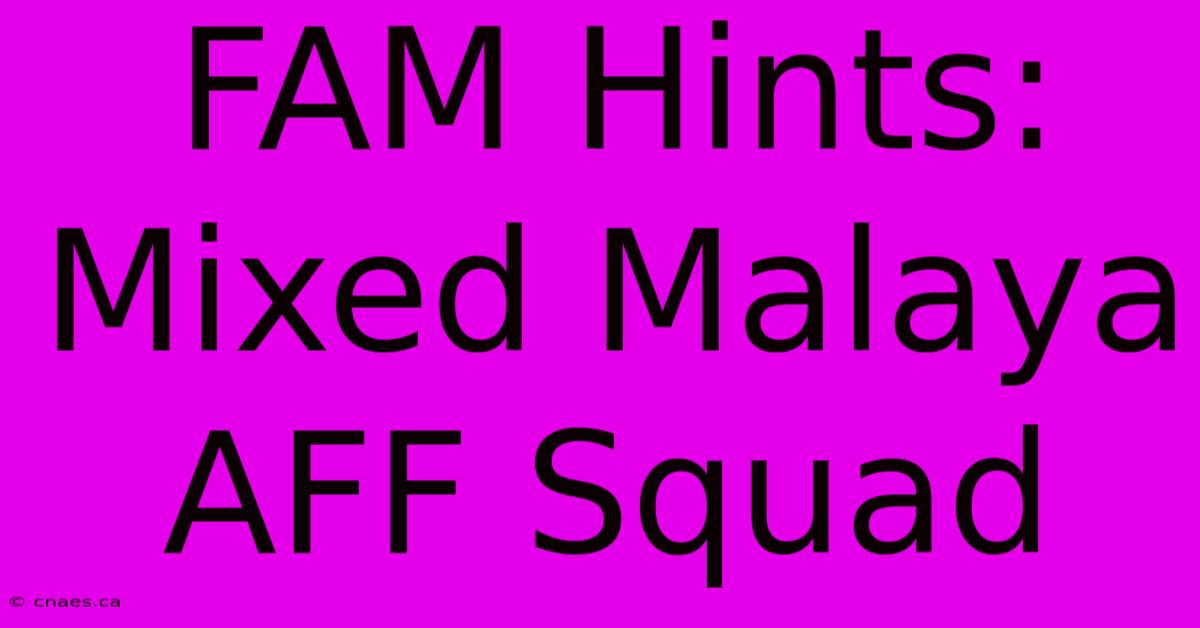 FAM Hints: Mixed Malaya AFF Squad