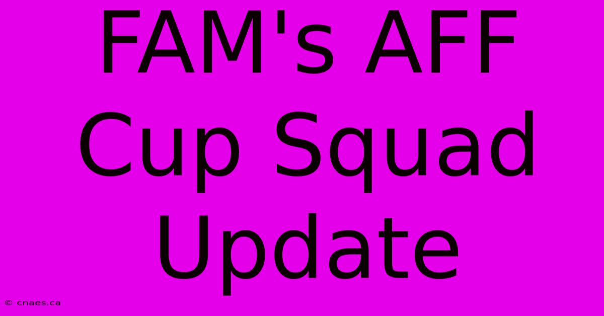 FAM's AFF Cup Squad Update