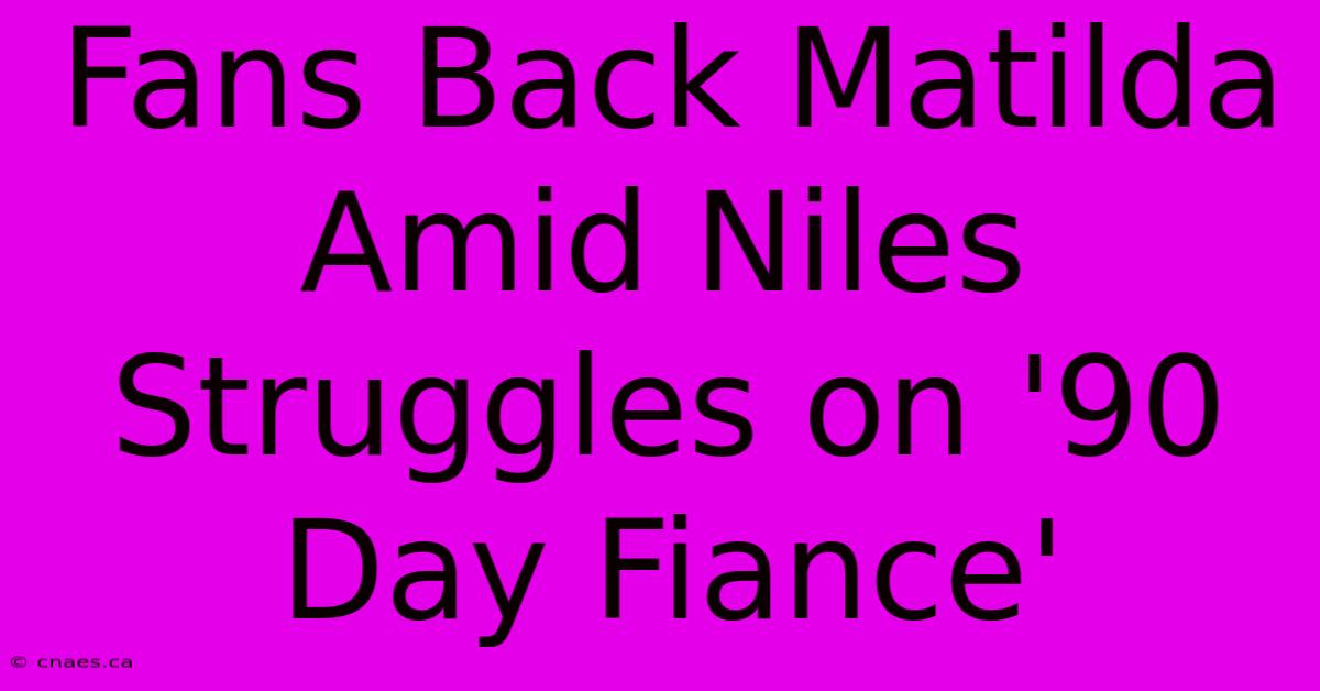 Fans Back Matilda Amid Niles Struggles On '90 Day Fiance' 