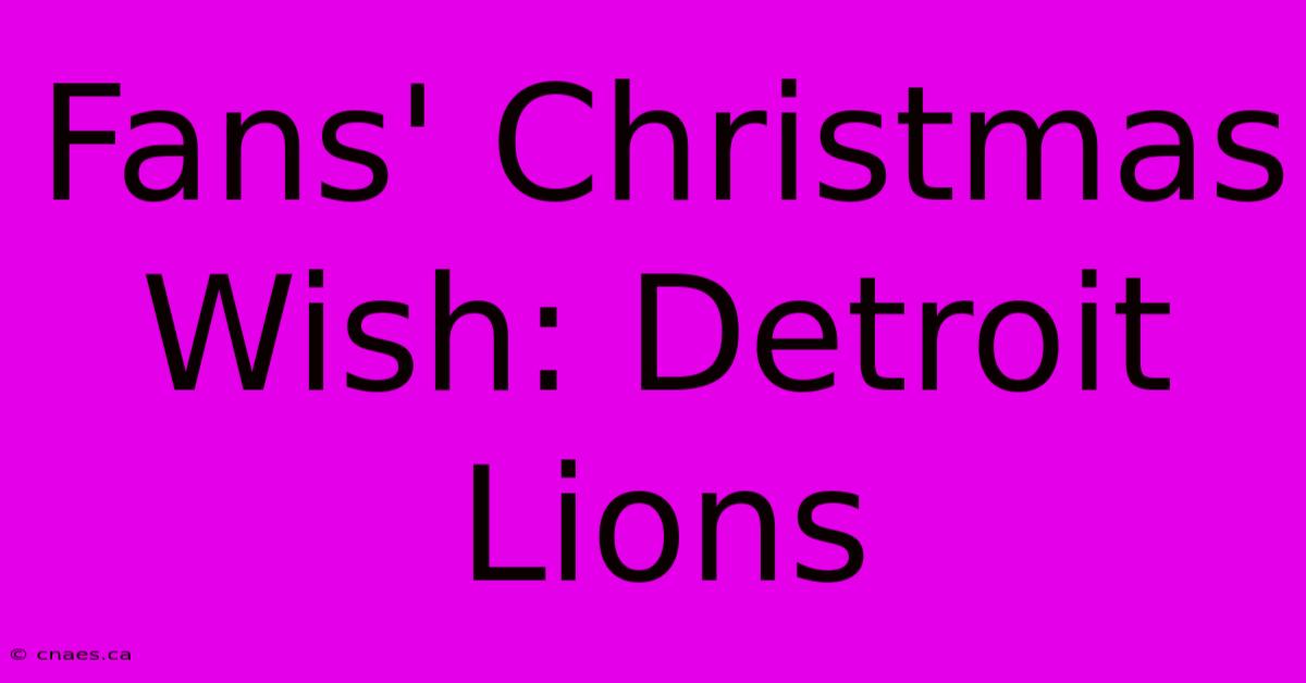 Fans' Christmas Wish: Detroit Lions