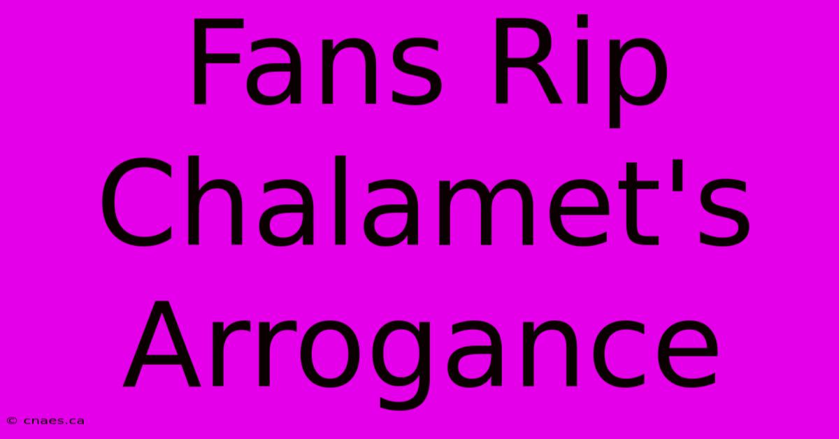 Fans Rip Chalamet's Arrogance