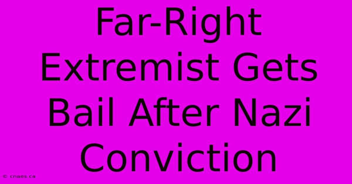 Far-Right Extremist Gets Bail After Nazi Conviction