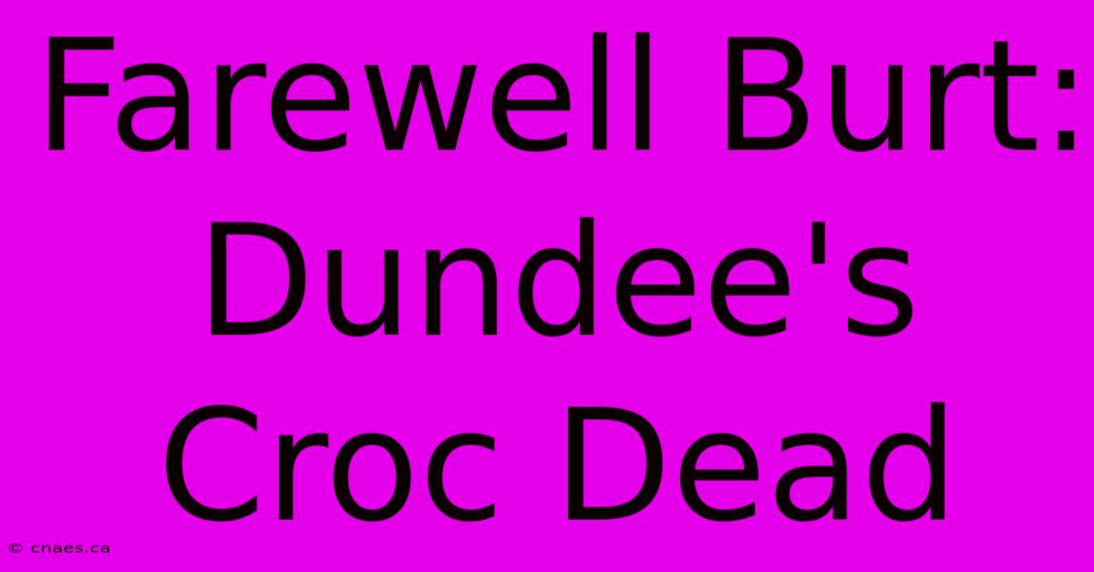 Farewell Burt: Dundee's Croc Dead