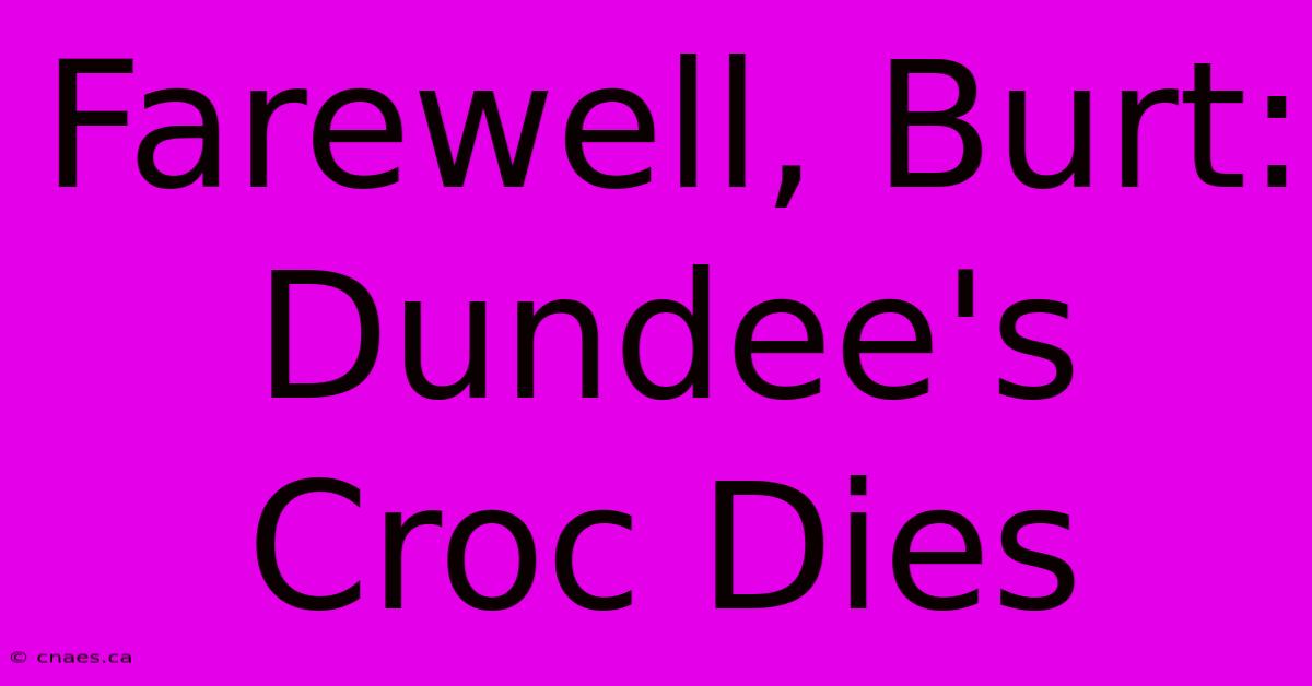 Farewell, Burt: Dundee's Croc Dies