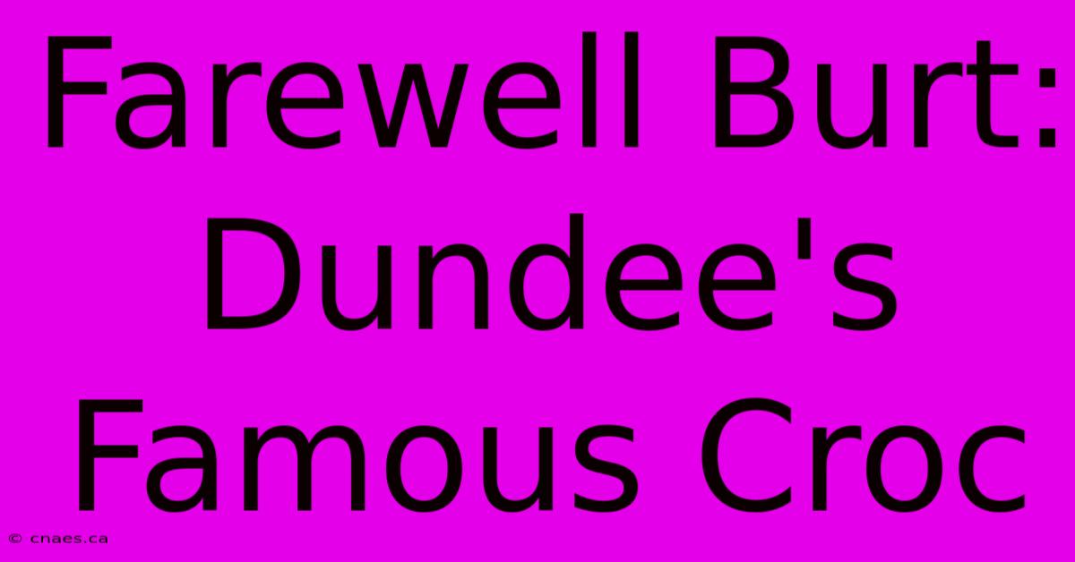 Farewell Burt: Dundee's Famous Croc