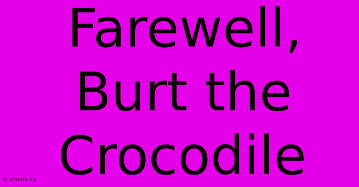 Farewell, Burt The Crocodile