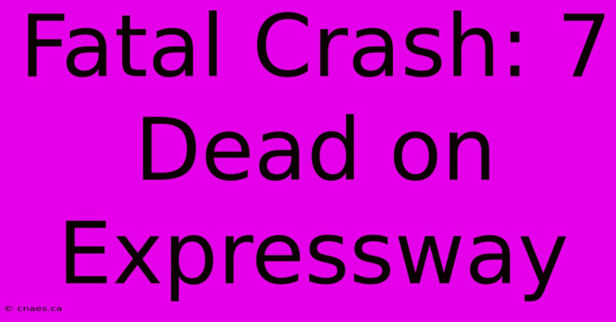 Fatal Crash: 7 Dead On Expressway