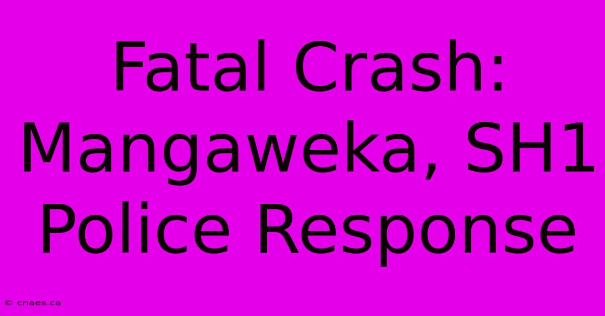 Fatal Crash: Mangaweka, SH1 Police Response