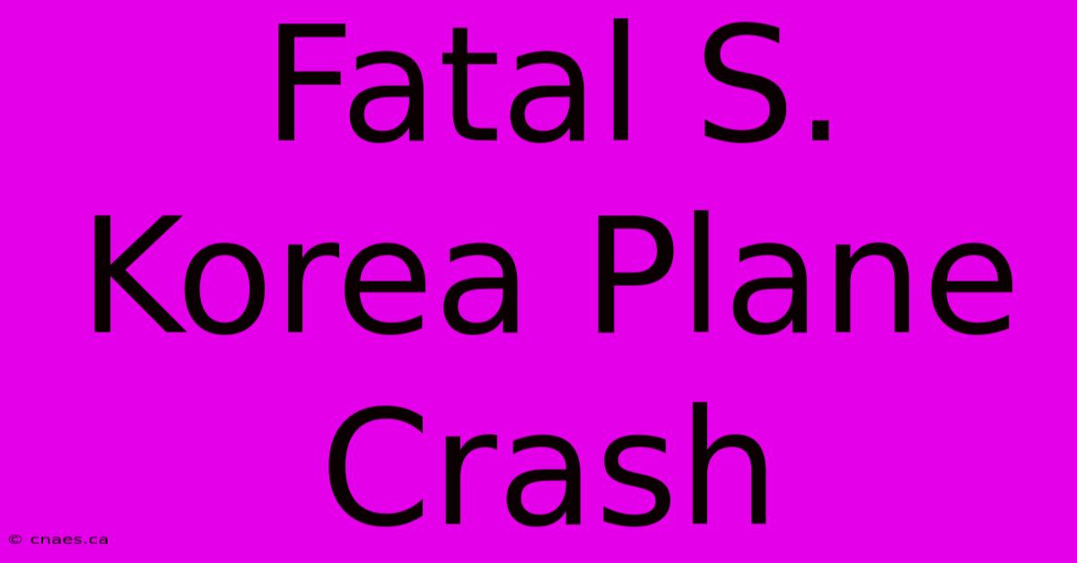 Fatal S. Korea Plane Crash