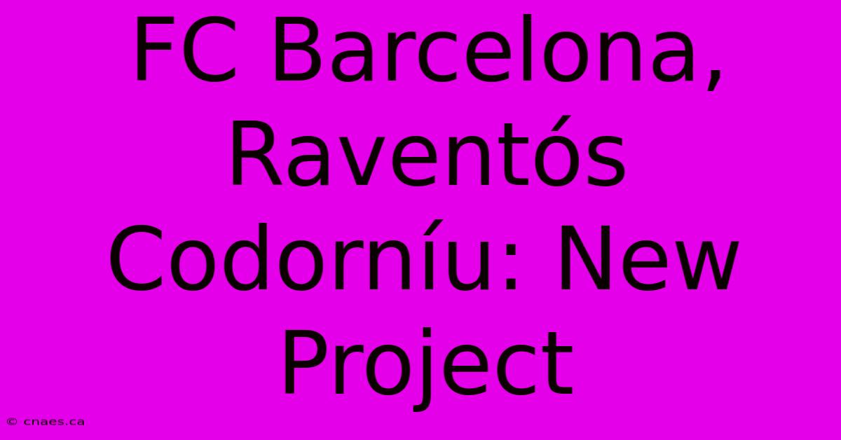 FC Barcelona, Raventós Codorníu: New Project