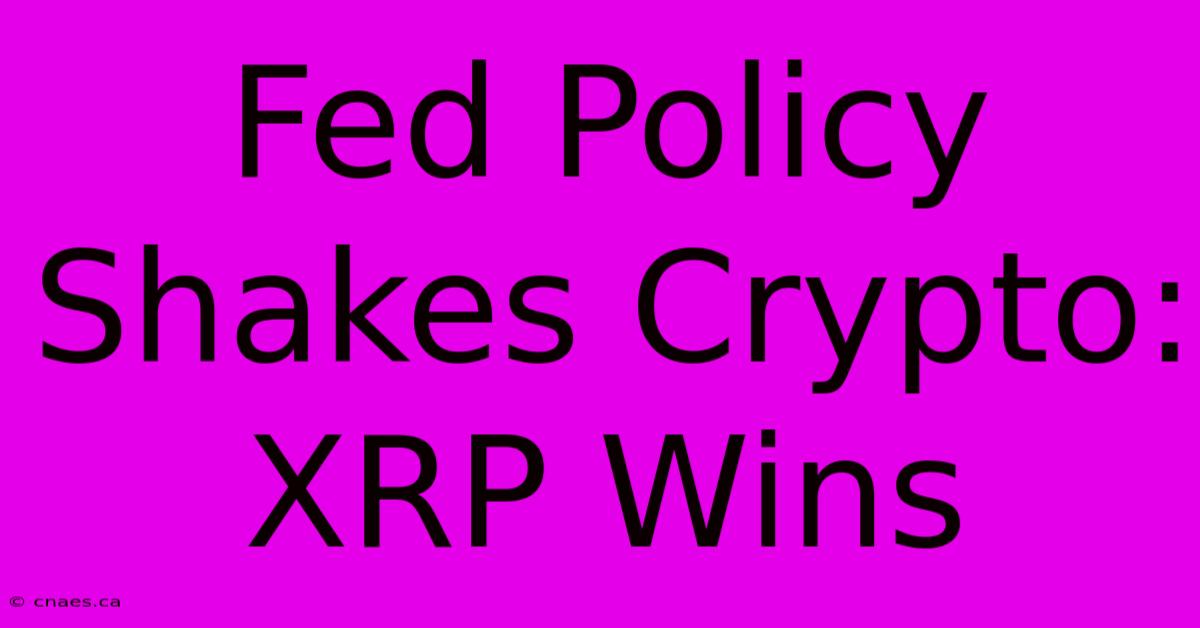 Fed Policy Shakes Crypto: XRP Wins