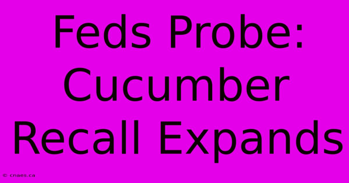 Feds Probe: Cucumber Recall Expands