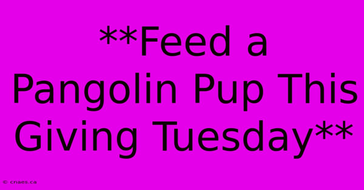 **Feed A Pangolin Pup This Giving Tuesday**