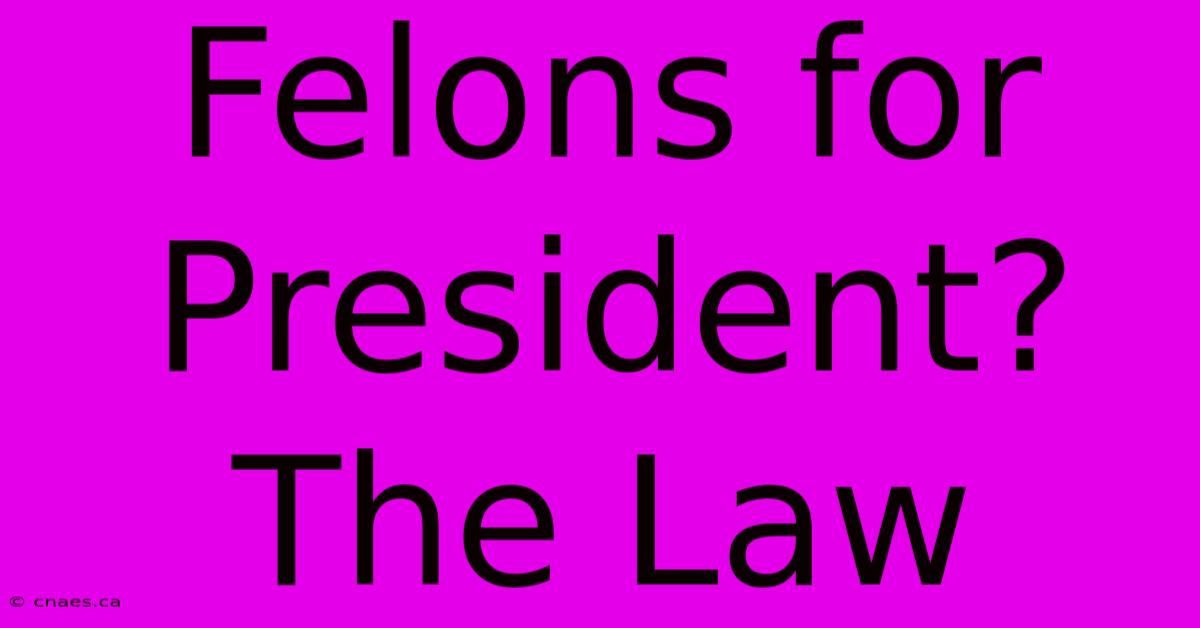 Felons For President? The Law