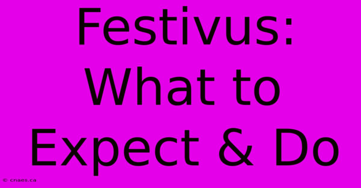 Festivus: What To Expect & Do