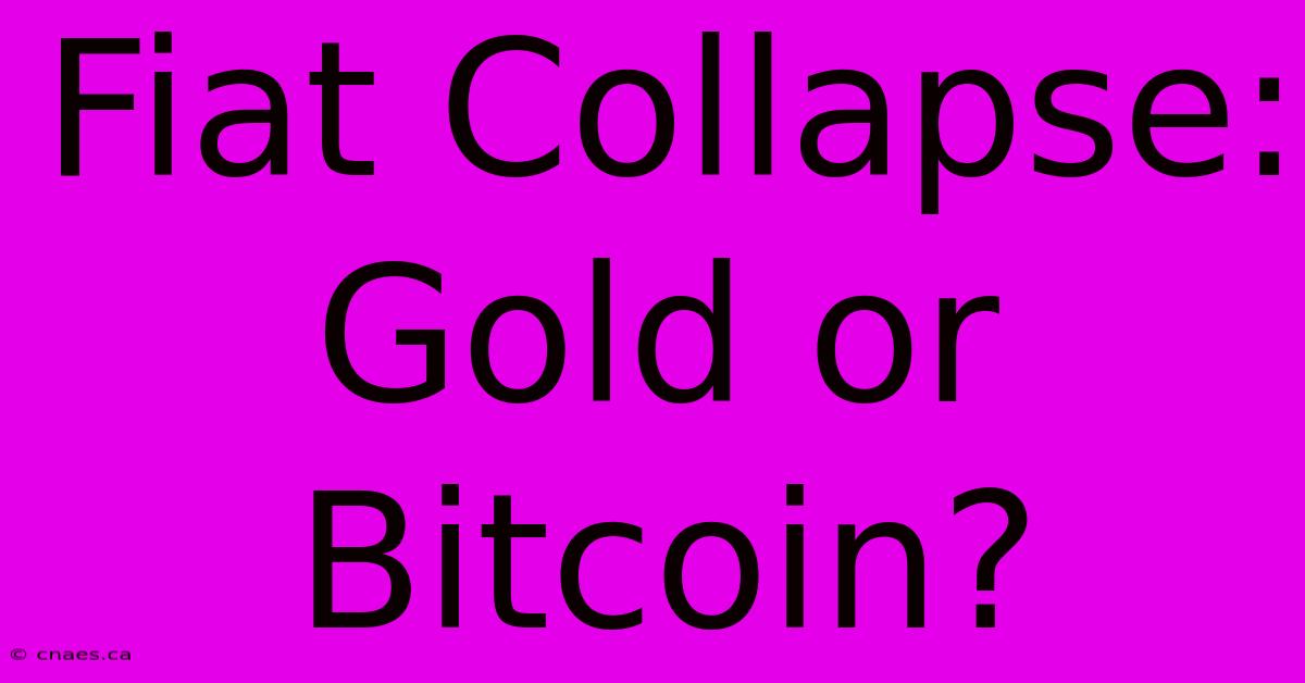 Fiat Collapse: Gold Or Bitcoin?