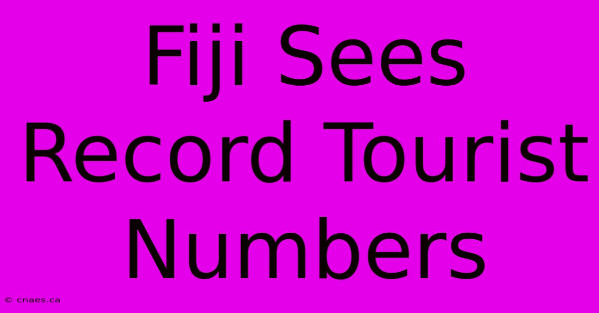 Fiji Sees Record Tourist Numbers