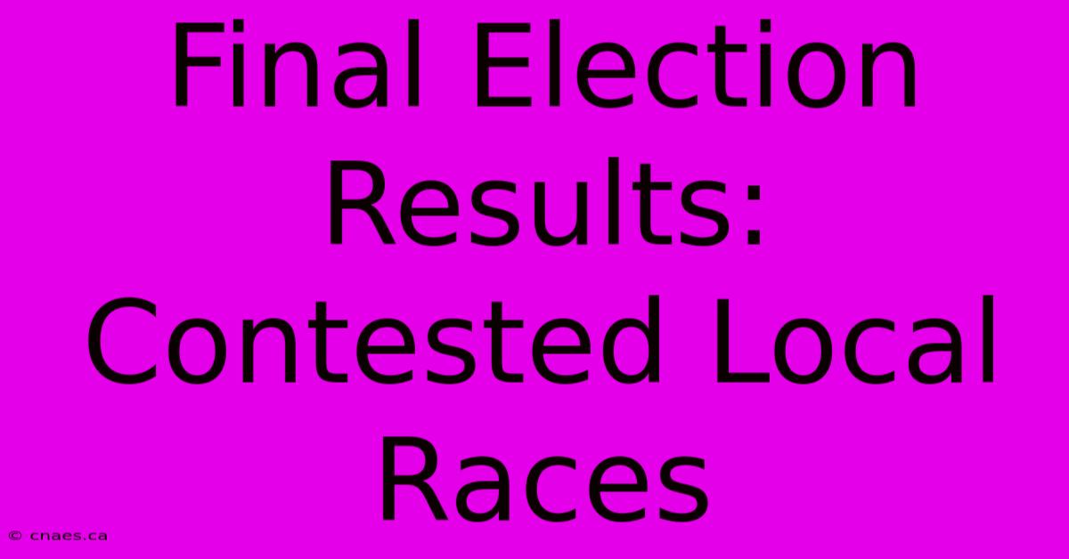 Final Election Results: Contested Local Races